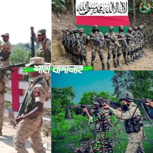 সন্ত্রাসী আরাকান আর্মীর উপর একের পর এক হামলার মাধ্যমে বিজয় অর্জন করছে আরসা, বিজয়ে অংশীদার হতে RSO কে আহ্বান